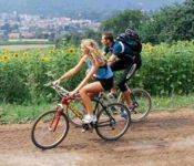 Radtouren rund um Zell