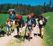 Wanderrouten in Zell a. H.